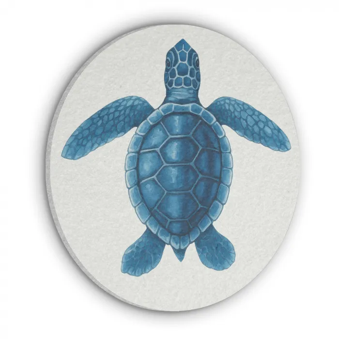 Schildpad - Blauw - Schild Akoestische PET Vilt - Rond klein -3d