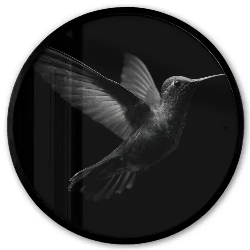 Kolibrie - Zwart - Dieren Fotolijst rond zonder passe partout klein -3d