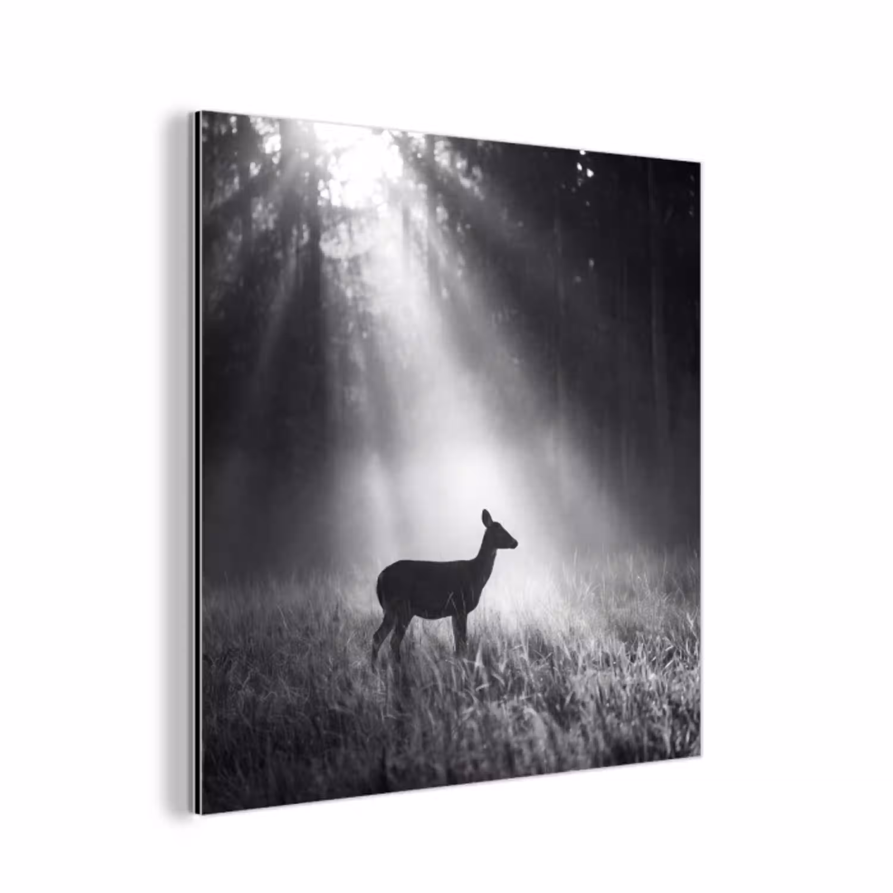 Hert - Bos - Zonnestralen - Zwart-wit - Natuur aluminium wit klein -3d