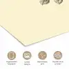 Illustratie - Zwart - Roos poster papier klein -closeup_NL