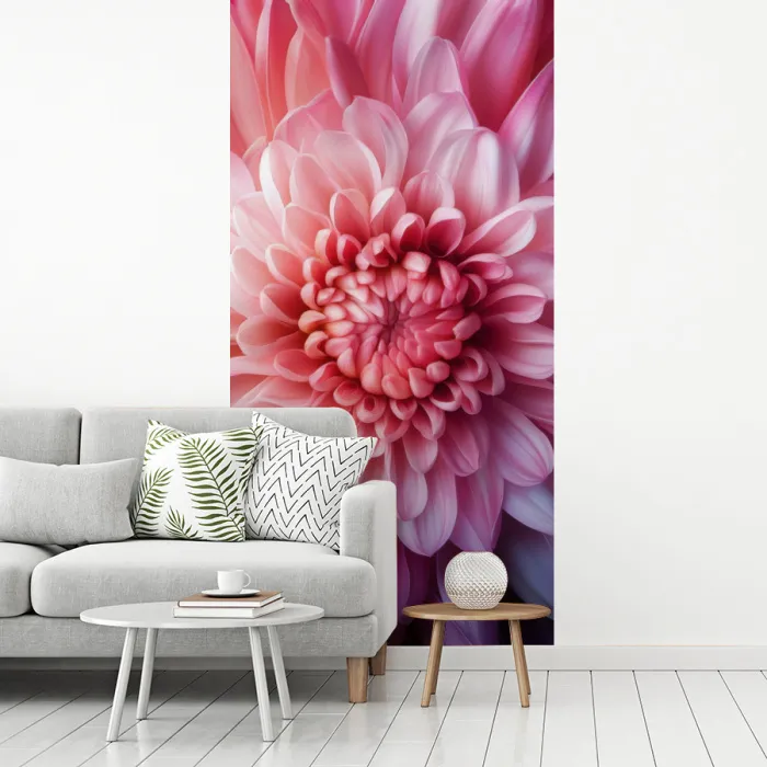 Dahlia - Bloem - Close up - Roze fotobehang vinyl groot -woonkamer