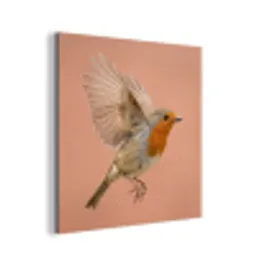 Roodborst - Natuur - Roze aluminium wit klein -3d