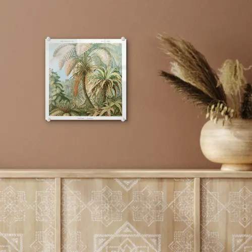 Vintage - Oude meesters - Varens - Planten - Natuur plexiglas 5mm klein -sfeer5
