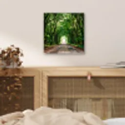 Weg - Bomen - Natuur - Groen aluminium wit klein -sfeer3