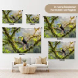 Toekan - Jungle - Natuur - Kleurrijk Wandkleed katoen klein -tsfeer8_DE