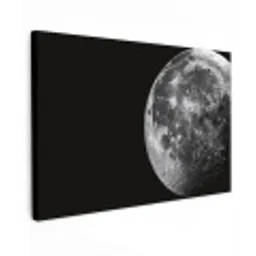 Close-up - Maan - Wit - Textuur Tuinposter op houten frame 2 cm dik klein -3d