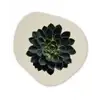 Rozet - Cirkelvormig - Donkergroen Wandcirkel Organisch Forex 3mm klein -3d