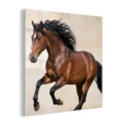 Paard - Galop - Energie plexiglas 5mm klein -z3d