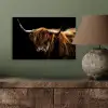 Schotse Hooglander - Horens - Zwart - Dieren - Natuur - Wild - Koe aluminium wit klein -sfeer2