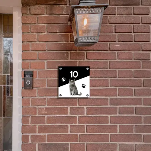 Zwart wit - Huisdier - Grijze kat Naambord Vierkant klein -sfeer7-XS