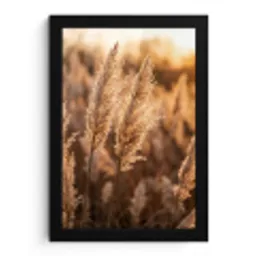 Rietpluimen - Gras - Zonsondergang - Goud - Serene fotolijst zwart zonder passe partout klein -3d