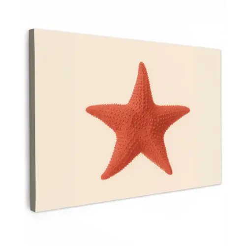 Zeester - Bobbels - Rood canvas 2cm klein -z3d