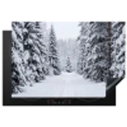 Bos - Winter - Sneeuw - Pad - Natuur Inductie beschermer vinyl 3mm klein -3d