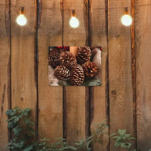 Dennenappels - Boom - Winter - Natuur - Bruin tuinposter los doek klein -sfeer1