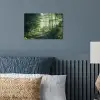 Bos - Pad - Zon - Bomen - Groen - Natuur poster papier klein -sfeer2