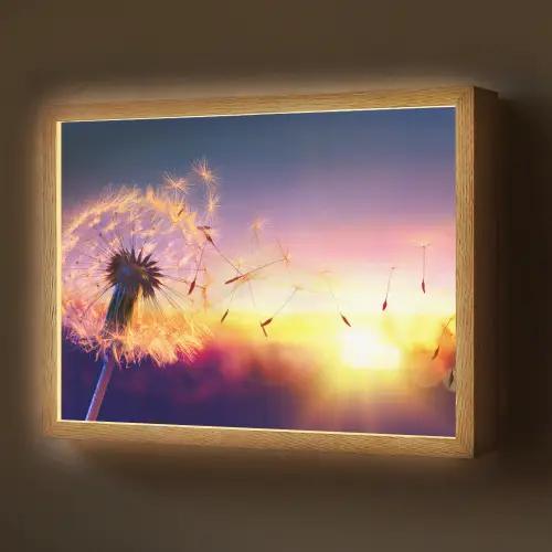 Paardenbloem - Bloemen - Zonsondergang - Horizon - Nacht Light Box met batterij (Wandlamp) middel -z3d_website