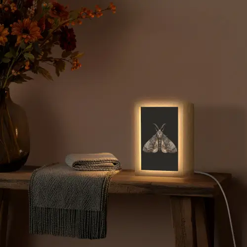 Mot - Bladachtig - Grijs Light Box met kabel (Tafellamp) klein -sfeer4