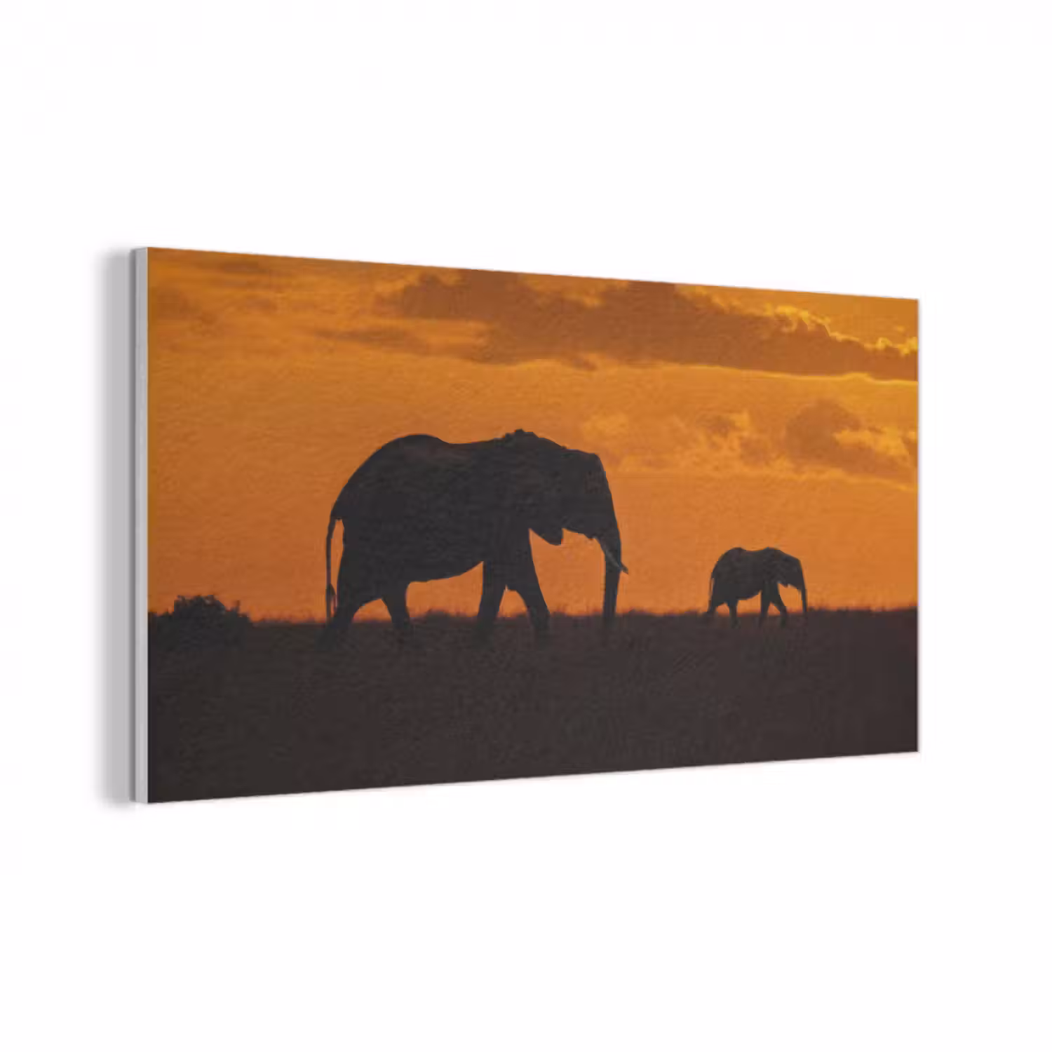 Akustikbild - Elefanten - Savanne - Sonnenuntergang