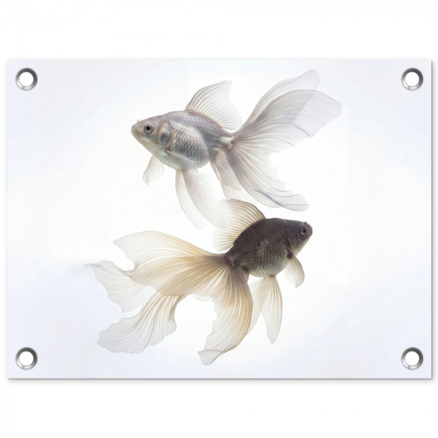 Goudvissen - Modern - Wit tuinposter los doek klein -3d