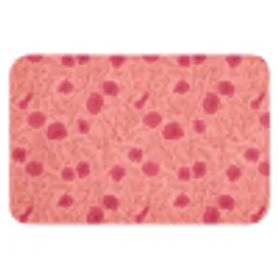 Weidebloemen - Romantisch - Roze Badmat klein 997 -3d