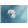 Paardenbloem - Wind - Blauw poster papier klein -3d