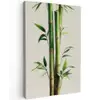 Bamboestengels - Sierlijk - Groen Tuinposter op houten frame 2 cm dik klein -3d