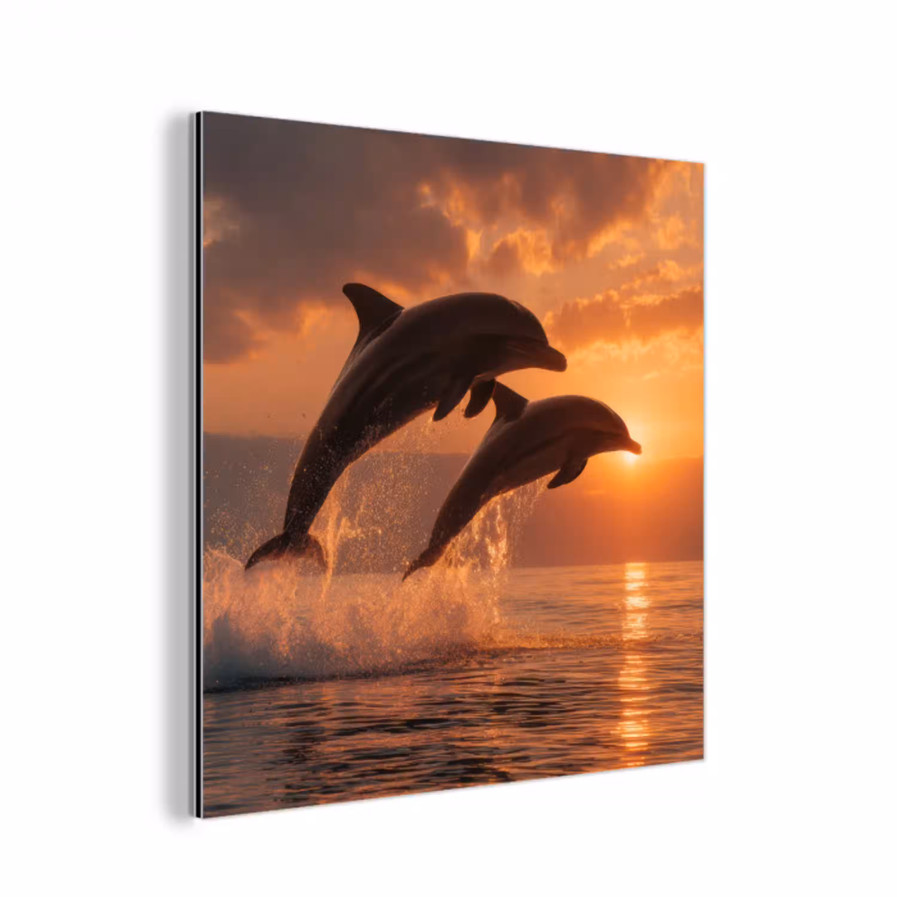 Dolfijnen - Zee - Realistisch aluminium wit klein -3d