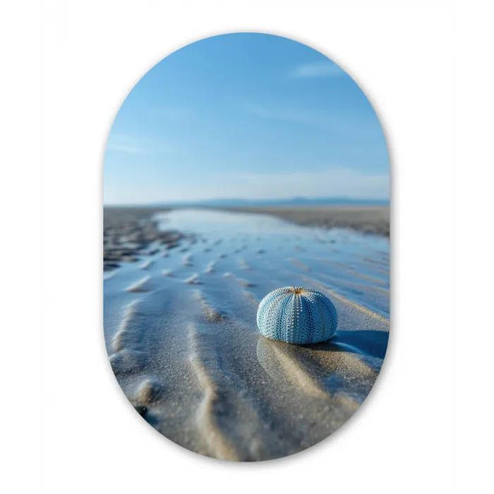 Strand - Schild - Water - Blauw Wandcirkel Ovaal Glas middel -3d