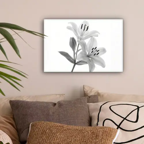 Lelies - Elegant - Zwart - Wit canvas 2cm klein -sfeer1