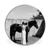 Vrouw - Paard - Artistiek Wandcirkel aluminium klein -3d