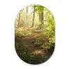 Bos - Bomen - Pad - Zon - Planten - Bladeren - Natuur Wandcirkel Ovaal Forex klein -3d