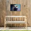 Stier - Zwart - Abstract - Horens Tuinposter op houten frame 2 cm dik klein -sfeer4