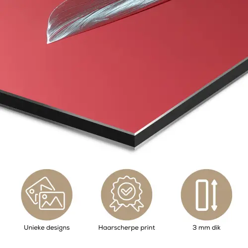 Sierlijk - Bloem - Roze - Glazen aluminium wit klein -closeup_NL