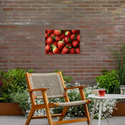 Aardbei - Fruit - Rood Tuinposter op houten frame 2 cm dik klein -sfeer3