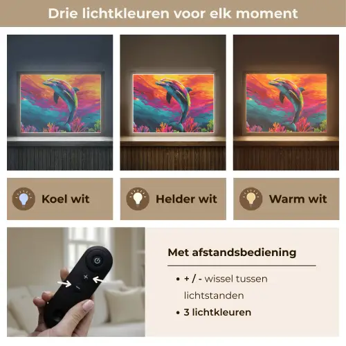 Dolfijn - Kleurrijk - Oceaan - Koraal Light Box met batterij (Wandlamp) middel -USP_lichtkleurNL