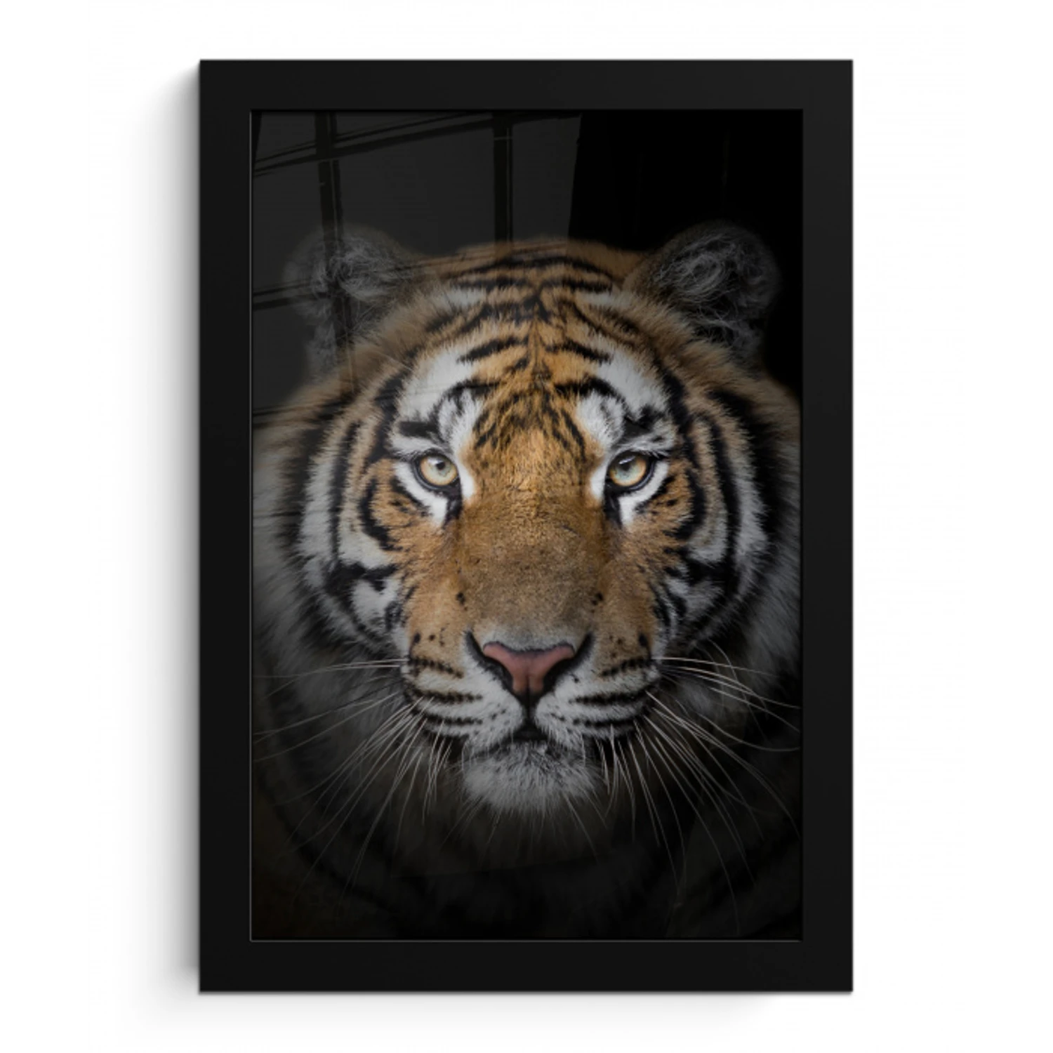 Tijger - Wilde dieren - Portret - Zwart - Dieren fotolijst zwart zonder passe partout klein -3d