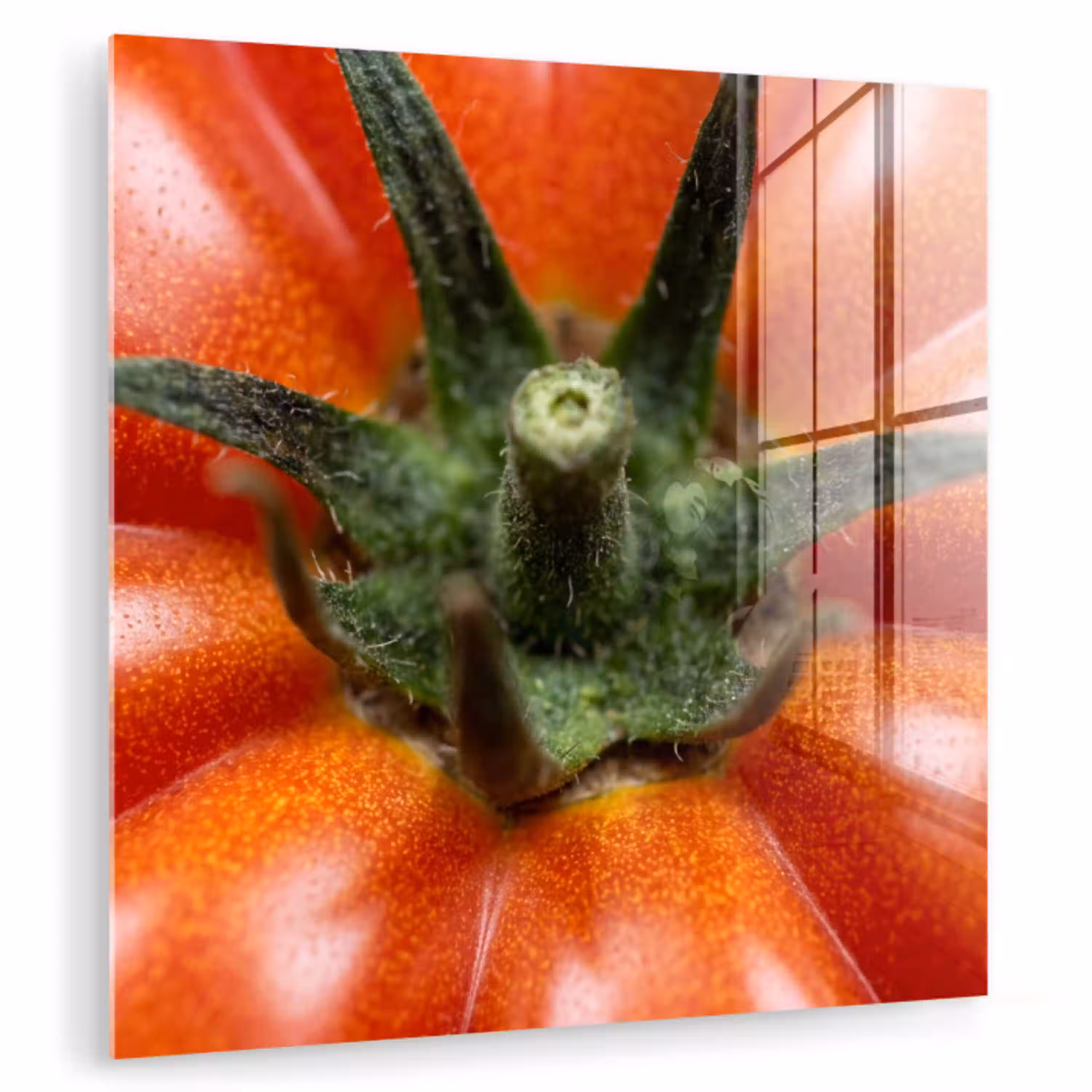 Eten - Tomaat - Rood plexiglas 5mm klein -zzzproduct_nieuw