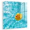 Badeend - Dobberen - Blauw plexiglas 5mm klein -zzzproduct_nieuw