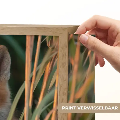 Vos - Oranje - Gras Light Box met batterij (Wandlamp) middel -USP_websiteprintNL