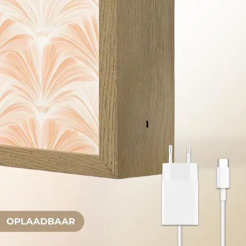 Waaier - Patroon - Perzik Light Box met batterij (Wandlamp) middel 907 -USP_websiteoplaadbaarNL