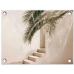 Palmboom - Schaduw - Trap - Beige tuinposter los doek klein -3d