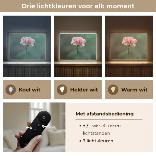 Anjer - Roze - Bloemblaadjes Light Box met batterij (Wandlamp) middel -USP_lichtkleurNL