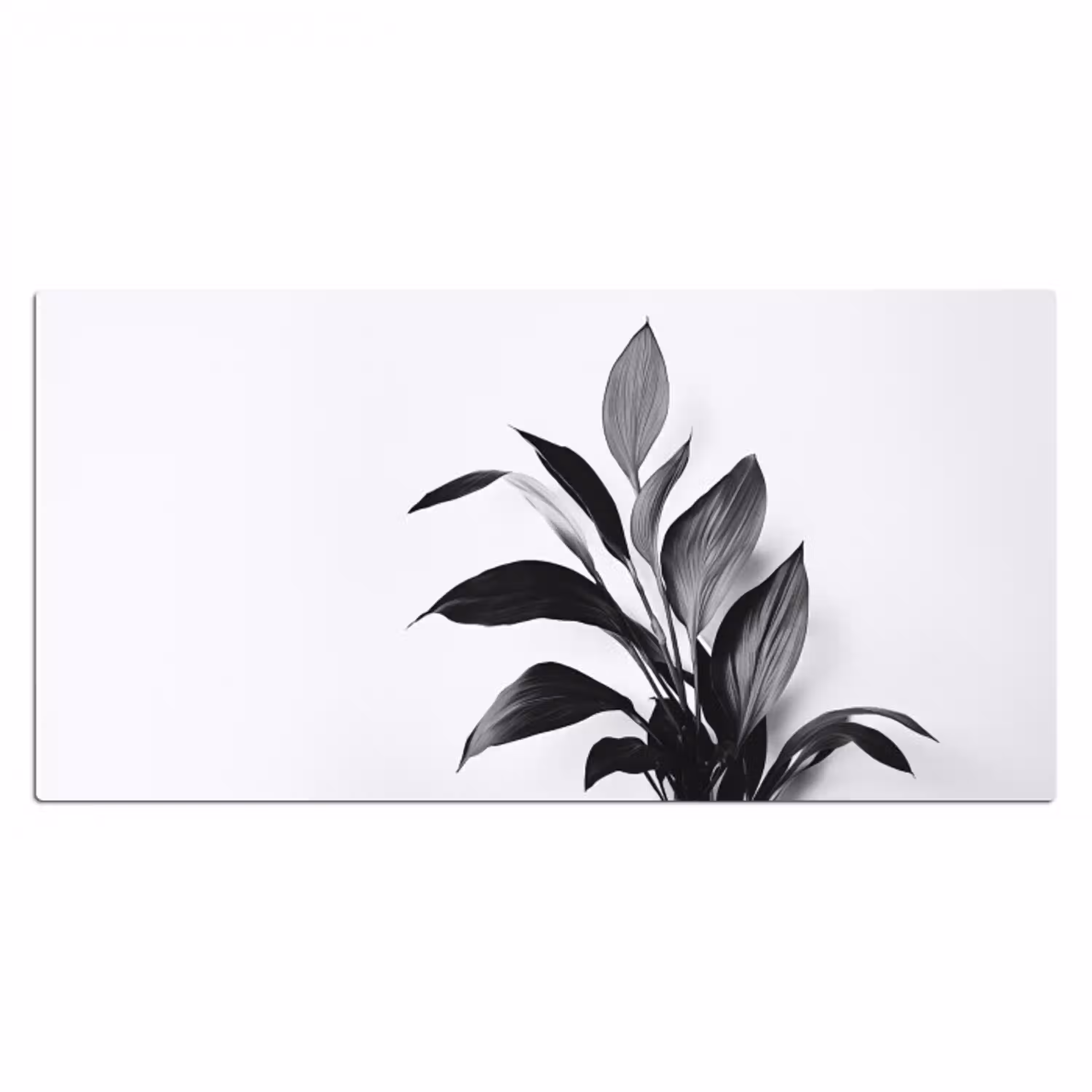 Plant - Bladeren - Minimalistisch - Zwart Muismat XXL klein -3d_leeg