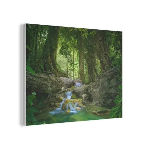 Jungle - Stenen - Water - Natuur - Planten PET vilt klein -3d