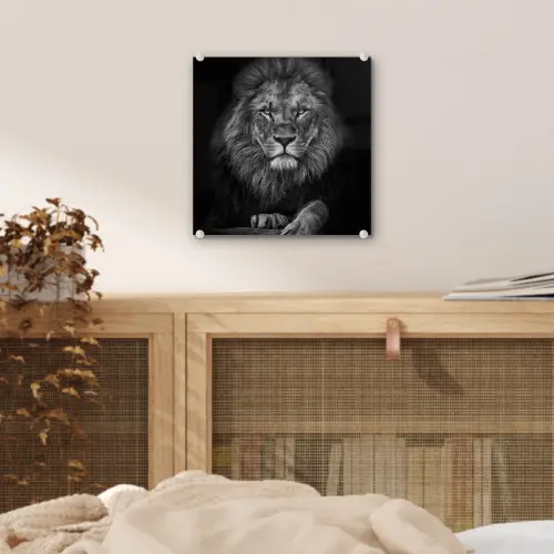 Leeuw - Dieren - Zwart - Wit plexiglas 5mm klein -sfeer4