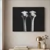 Struisvogels - Halzen - Zwart - Minimalistisch Textielframe zwart klein -sfeer2