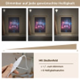 Controller - Neon - Explosie - Abstract Light Box met kabel klein -USP_dimbaarDE