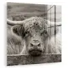 Schotse hooglander - Zwart - Wit - Hout plexiglas 5mm klein -zzzproduct_nieuw