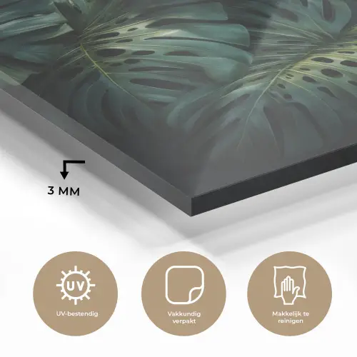 Plant - Monstera - Lichtinval plexiglas 5mm klein -sfeer2