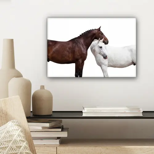 Paard - Modern - Balans canvas 2cm klein -sfeer6